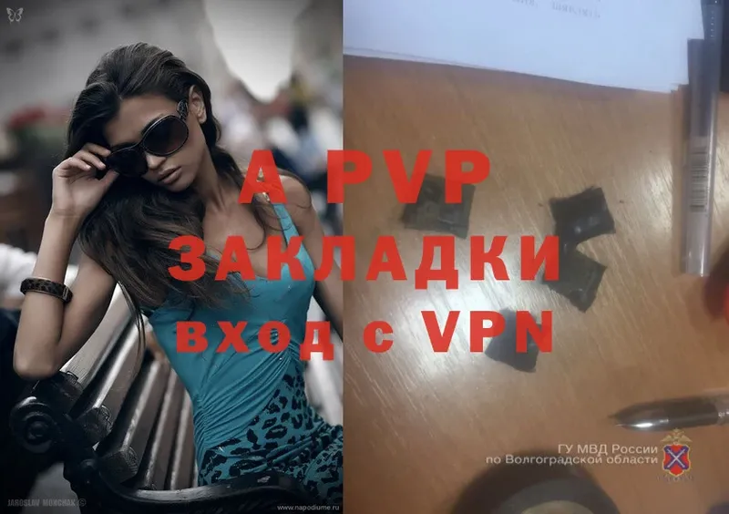 блэк спрут зеркало  Шлиссельбург  Alfa_PVP СК 